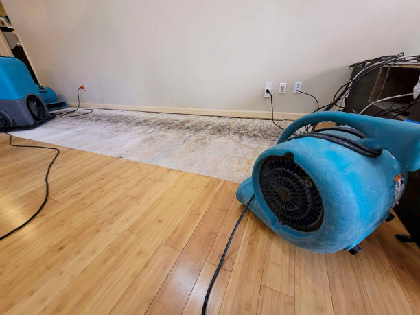 Professional Water Damage Repair technician working in Miller City, OH